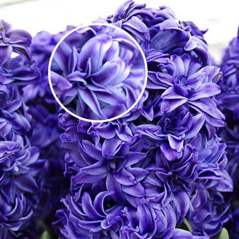 My Image 103