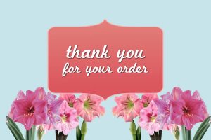 Thank you for your order from Wanthai.com